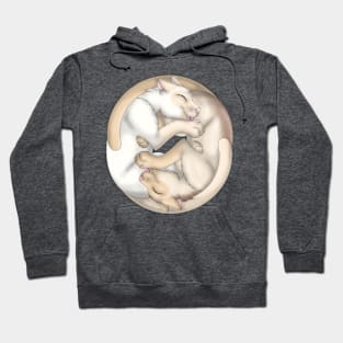 Yin-Yang Cats: Cream Point Hoodie